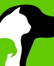 TierTaxi Berlin Logo