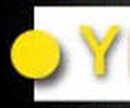 POINT YELLOW Logo