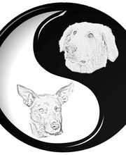 JAPP Hundetraining & Shop Logo