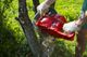 Person using a red chainsaw to cut a tree trunk in a green outdoor setting.