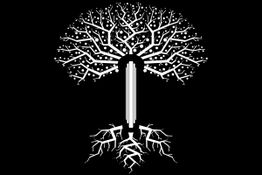 Weißer Baum mit verzweigten Ästen und Wurzeln auf schwarzem Hintergrund.