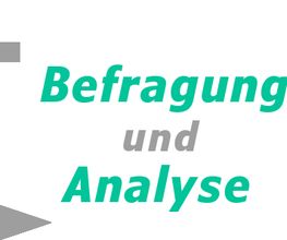 LT Befragung und Analyse Logo