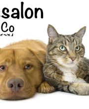 Hundesalon-Strolchi & Co Logo