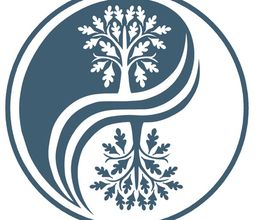 physioandmore Logo