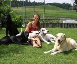 Hundebetreuung