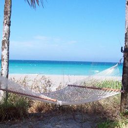 Hammock between palm trees on a beach overlooking a clear blue ocean under a sunny sky.