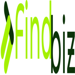 Logo with text "Findbizz" in green letters next to a stylized abstract shape.