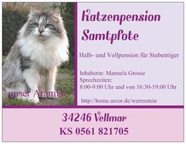 Karte für Katzenpension Samtpfote mit Bild einer Katze und Kontaktinfos in Vellmar.