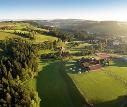 Luftaufnahme einer grünen, hügeligen Landschaft mit Feldern und Bauernhöfen unter blauem Himmel.