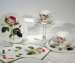 Bone China