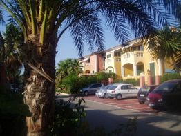 Mehrfarbige Häuser und geparkte Autos unter Palmen in einer sonnigen Wohngegend.