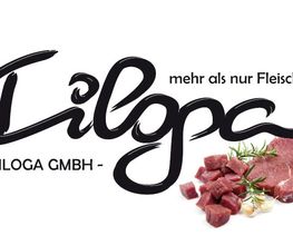 Diloga GmbH Logo