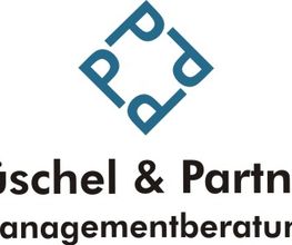 Püschel & Partner Managementberatung Logo