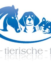 Andreas und Andreas Röhr GdbR Logo