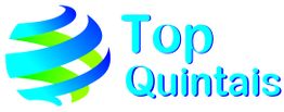 Logo com uma esfera azul e verde à esquerda e o texto "Top Quintais" em azul à direita.