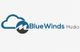 BlueWinds Media logo with cloud and mountain graphic in blue and black.