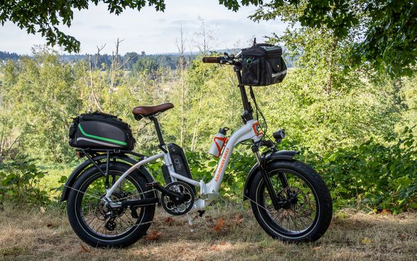 Klappbares Elektrofahrrad das auf einer Grasfläche abgestellt wurde.