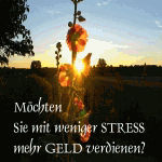 Blumen im Sonnenuntergang mit Text: "Möchten Sie mit weniger Stress mehr Geld verdienen?"