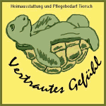 Eine Schildkröte auf dem Rücken mit Schriftzug "Vertrautes Gefühl".