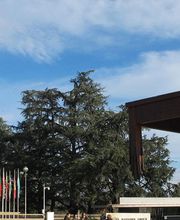 Großer Stuhl mit kaputtem Bein vor Gebäuden und Bäumen unter blauem Himmel, Fahnen im Hintergrund.