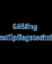 Horst W. Gößling Textilpflegetechnik Logo