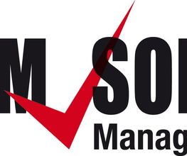 Interim Solution Logo