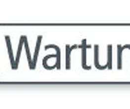 Serverwartung24 Logo