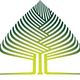 Stylized tree logo with layered green and yellow lines forming a symmetrical leaf shape.
