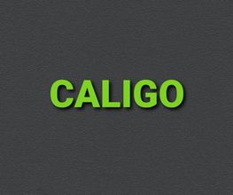 Agentur Caligo Logo