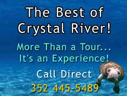 Text promoting Crystal River tours with a manatee, phone number included for booking.