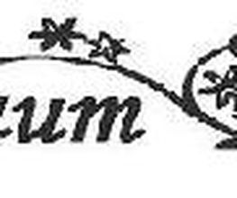 Funkeltraum Logo