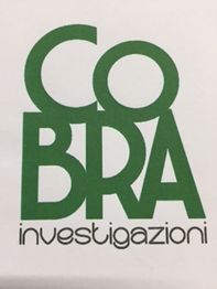 Logo con scritta verde "Cobra Investigazioni" su sfondo bianco.