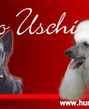 Hundestudio & Boutique Uschi Logo