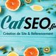 Texte "CatSEO.fr" sur fond bleu avec des fruits tranchés, citrons, kiwis et oranges.