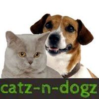 Katze und Hund nebeneinander, darunter Text "catz-n-dogz" in grünen Buchstaben.