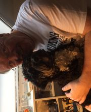 Reiki-Center Hage Logo