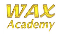 Goldene Schrift "WAX Academy" auf weißem Hintergrund.