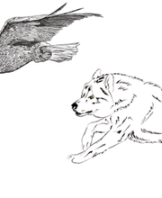 Tierische Gedanken Logo