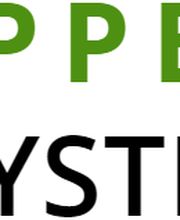 ifs Pappert Systemhaus Logo
