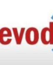 Perevod24 Logo