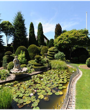 Ein gepflegter Garten mit Skulptur, Teich voller Seerosen und kunstvoll geschnittenen Büschen.