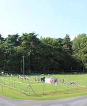 Hundeschule Sassenberg