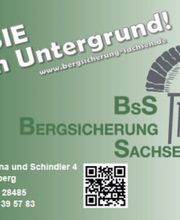 BsS Bergsicherung Sachsen GmbH Logo