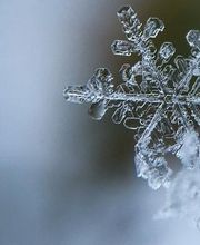 Nahaufnahme einer Eiskristall-Schneeflocke auf einem Zweig. Hintergrund verschwommen.