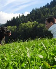 Hundeschule Saig Logo