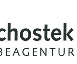 teamschostek Werbeagentur Logo
