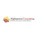 Logo of "Alphanova Consulting" with colorful gears and the slogan: "Effective Solutions. Lasting Results."