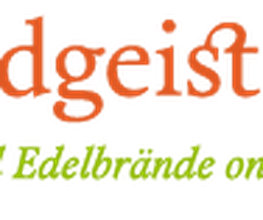 brandgeister.de Logo