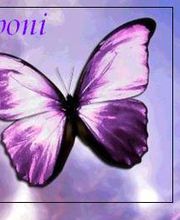 spirituelle Lebensberatung Aponi Logo