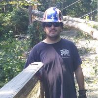 Worker in a star-patterned hard hat stands in a forested area with fallen trees in the background.
